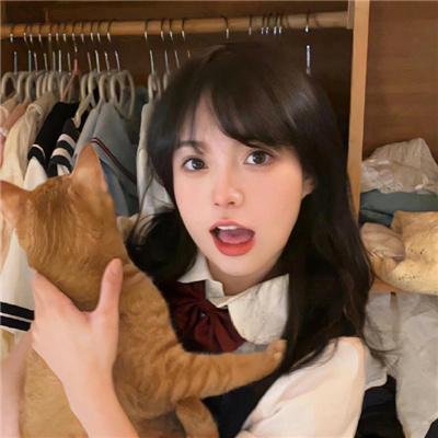 女人的碎片